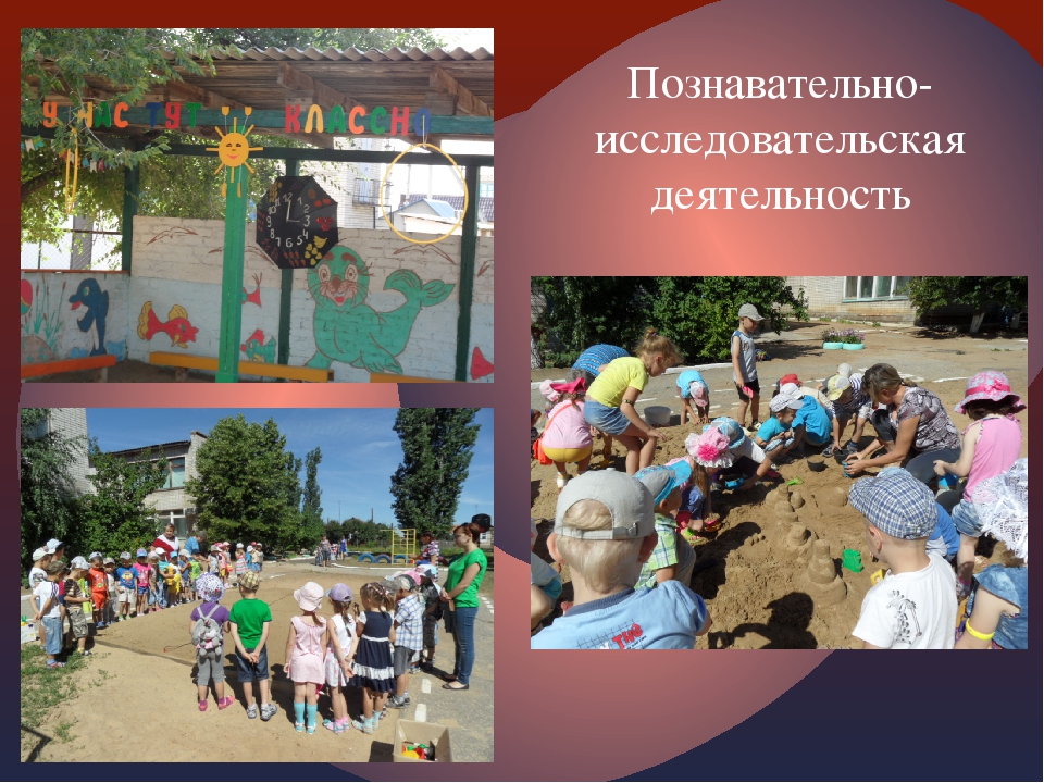 Лето-чудная пора...Дом, в котором мы живём!