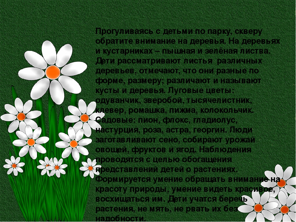 Презентация по работе с родителями (законными представителями) на тему: "Летний калейдаскоп"