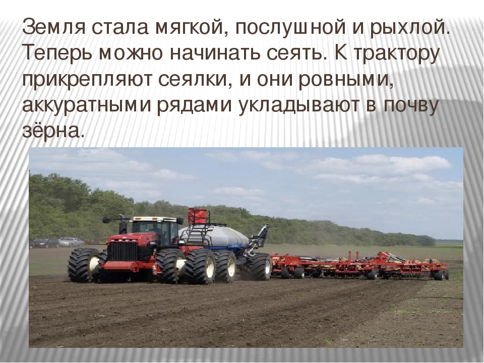 Презентация " Хлеб - наше богатство"