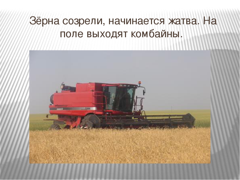 Презентация " Хлеб - наше богатство"