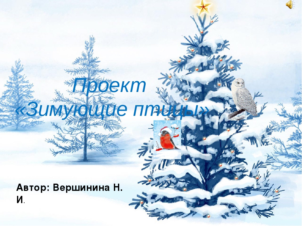 Презентация "проект зимующие птицы" для средней группы