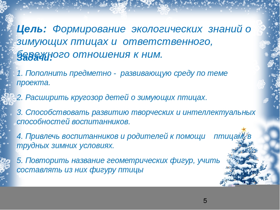 Презентация "проект зимующие птицы" для средней группы