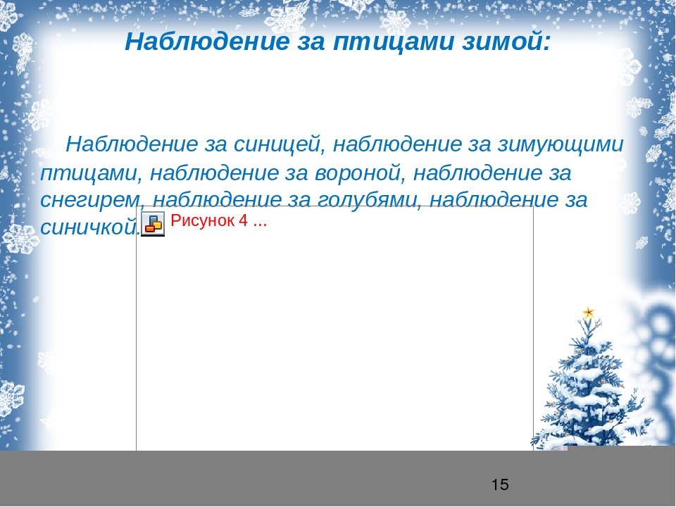 Презентация "проект зимующие птицы" для средней группы