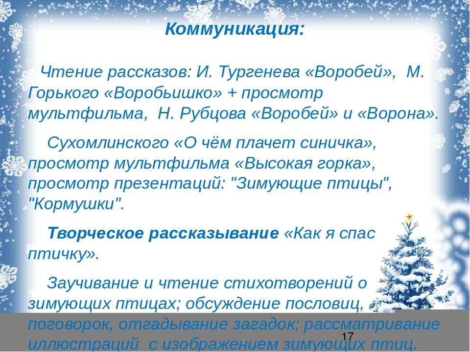 Презентация "проект зимующие птицы" для средней группы