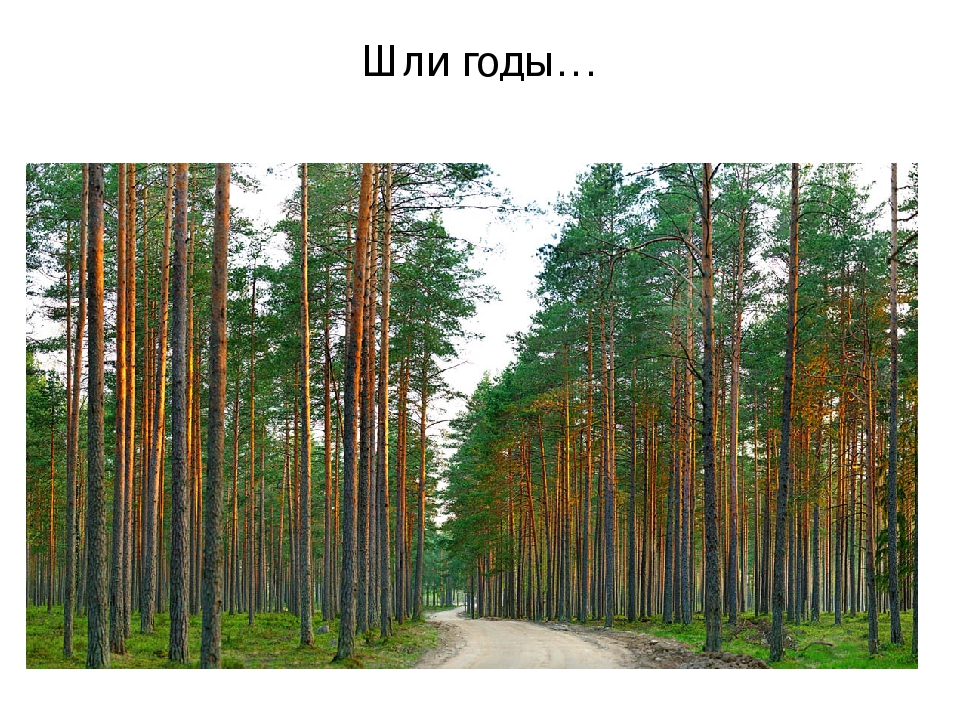 Презентация "Откуда книга пришла"