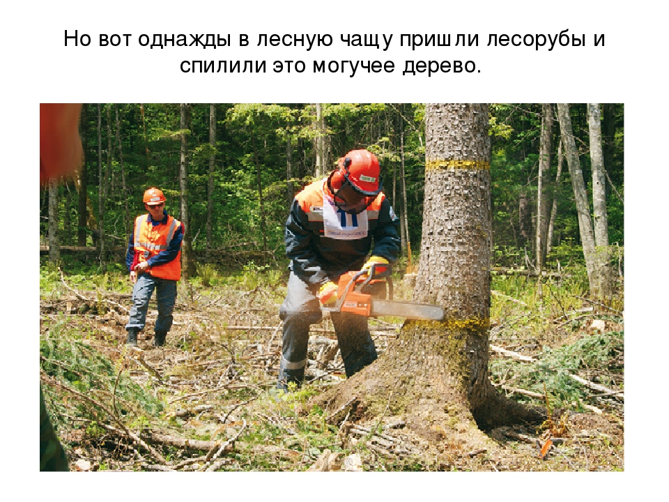Презентация "Откуда книга пришла"