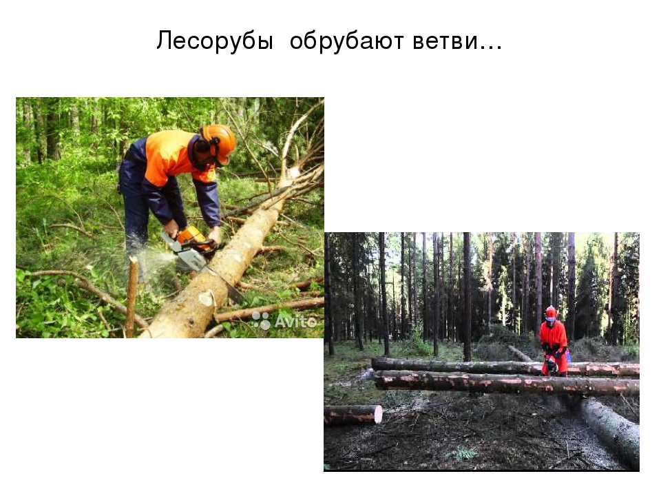 Презентация "Откуда книга пришла"