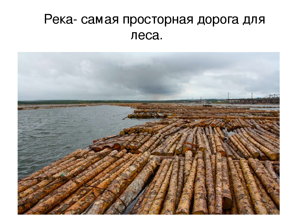Презентация "Откуда книга пришла"