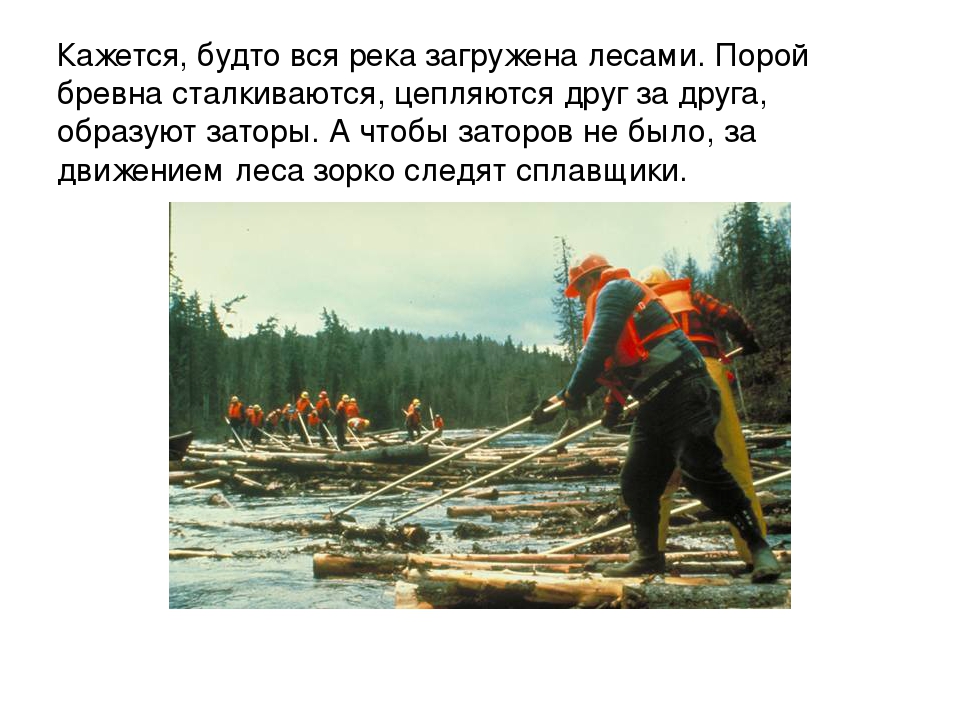 Презентация "Откуда книга пришла"