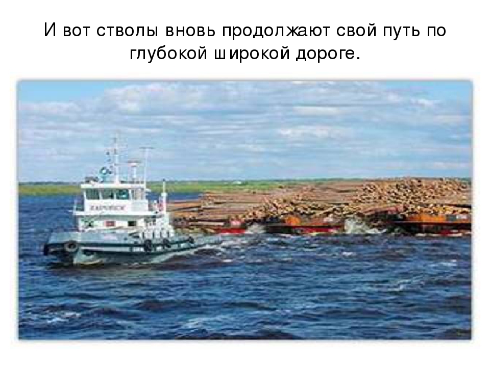 Презентация "Откуда книга пришла"