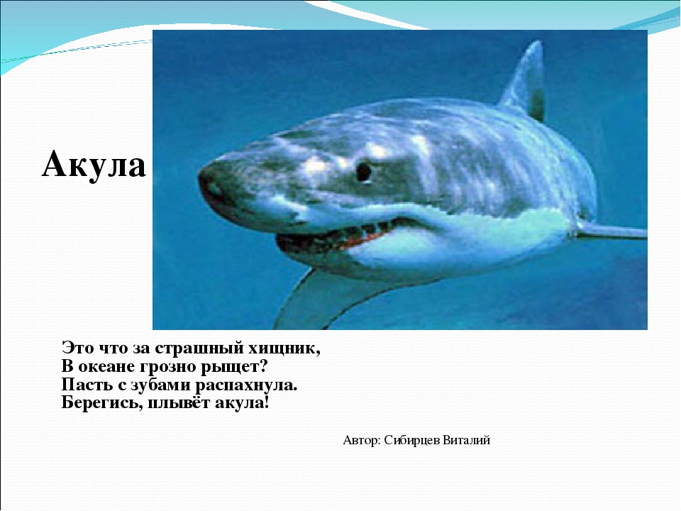 Презентация к лексической теме "Водные обитатели"