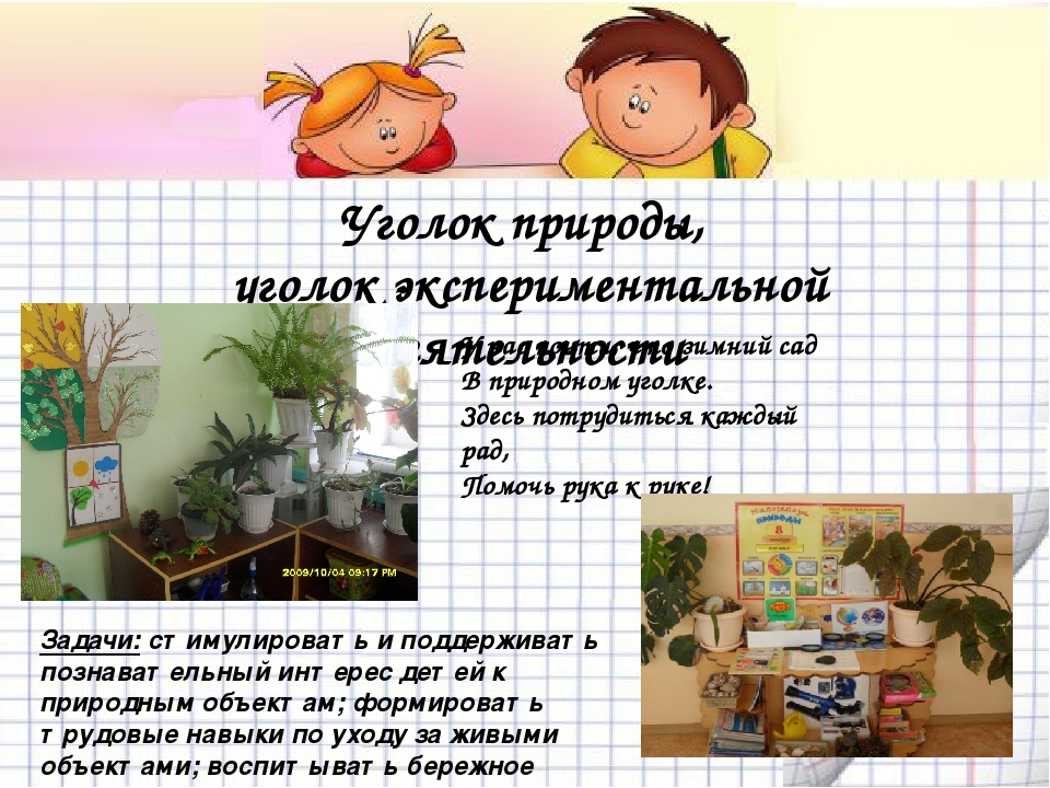 Презентация на тему "Организация предметно- развивающей среды ДОУ".
