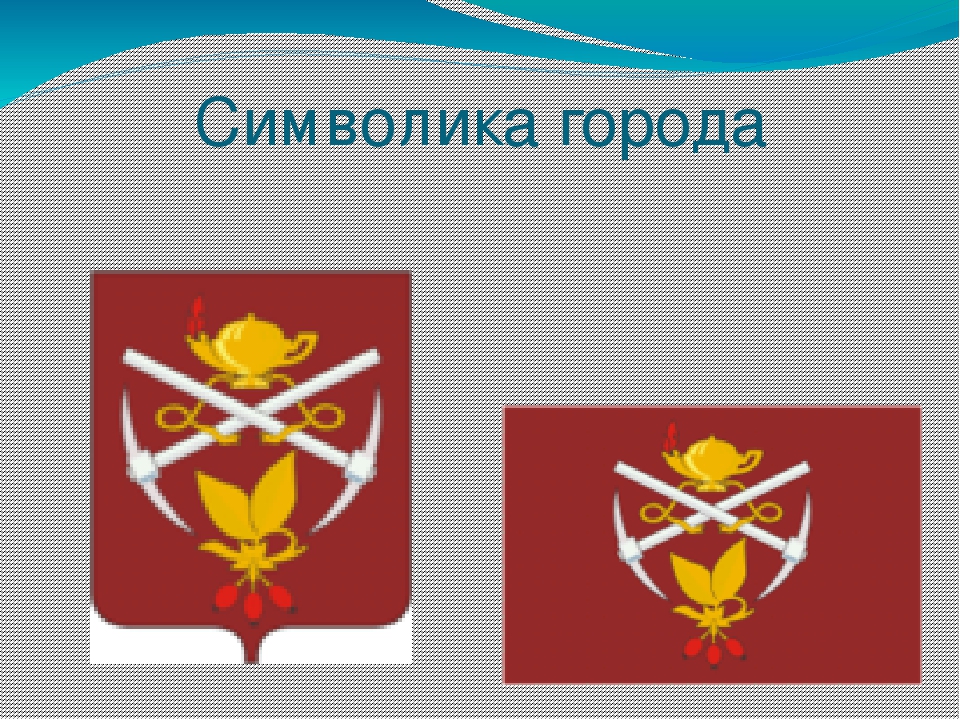 Презентация по познавательному развитию "Мой любимый город"