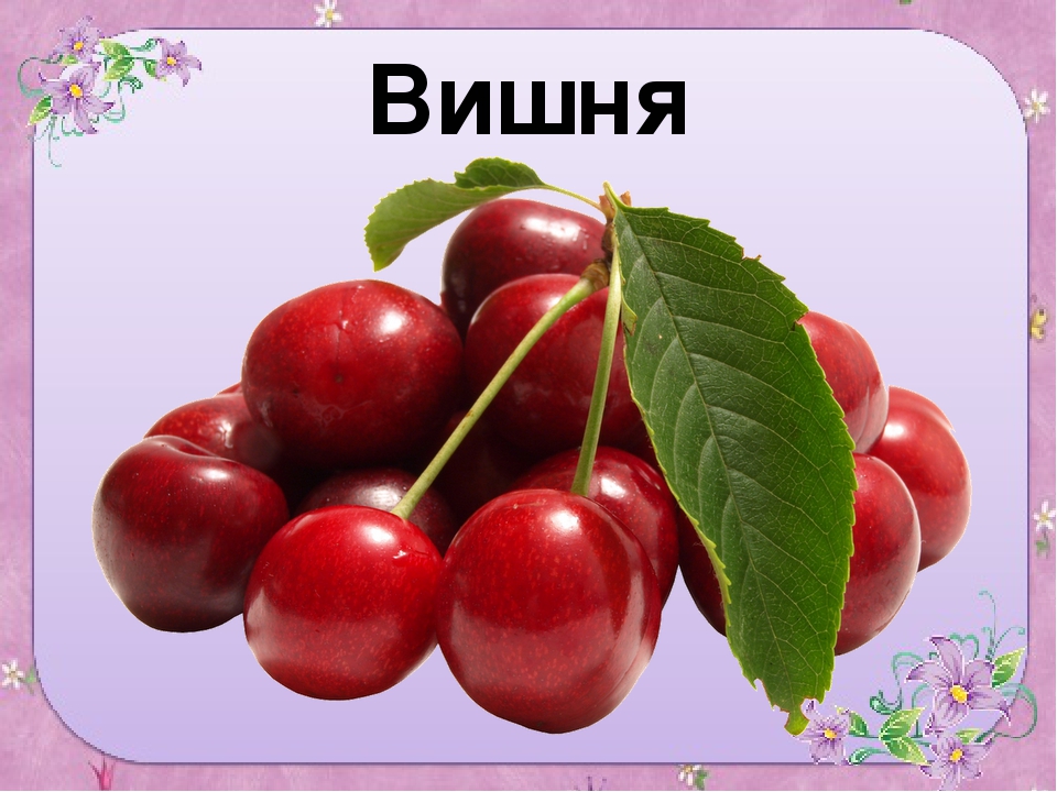 Презентация для старшей группы "Ягоды"
