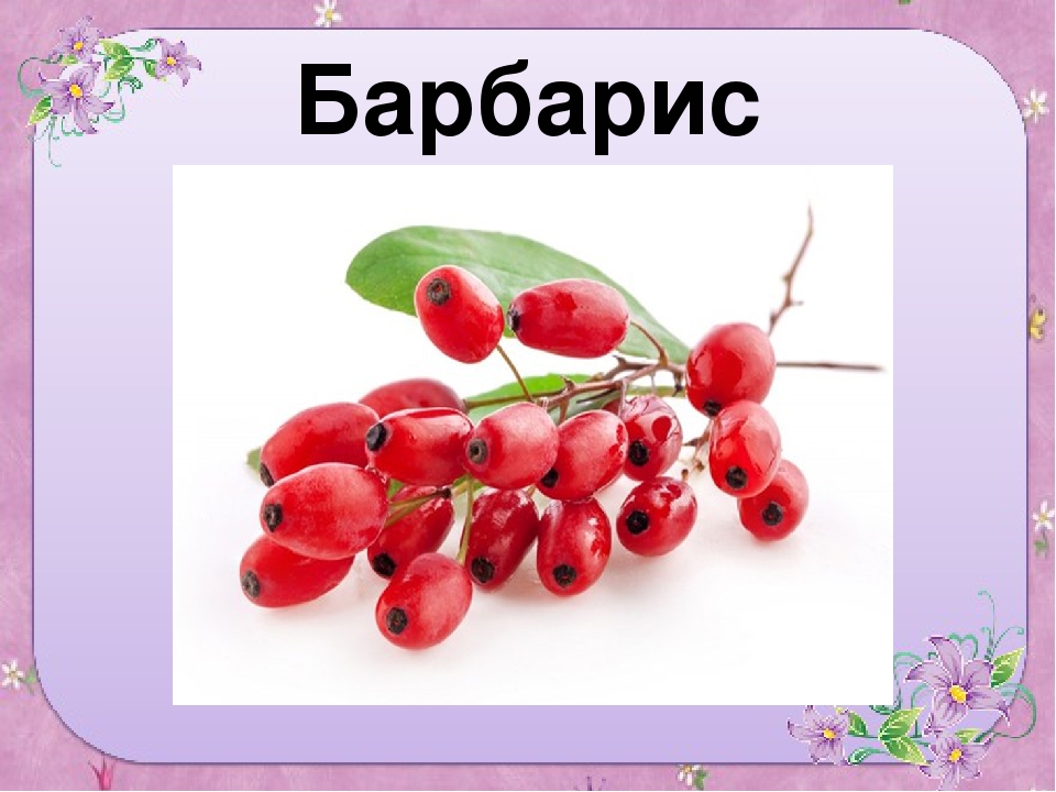 Презентация для старшей группы "Ягоды"
