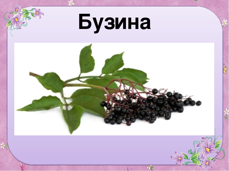 Презентация для старшей группы "Ягоды"