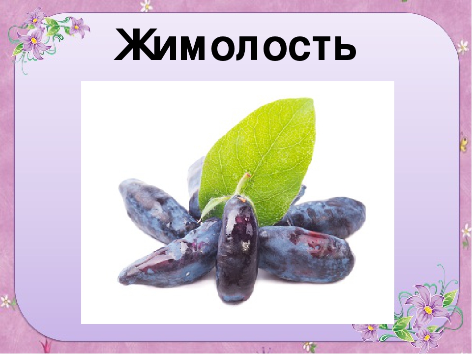 Презентация для старшей группы "Ягоды"