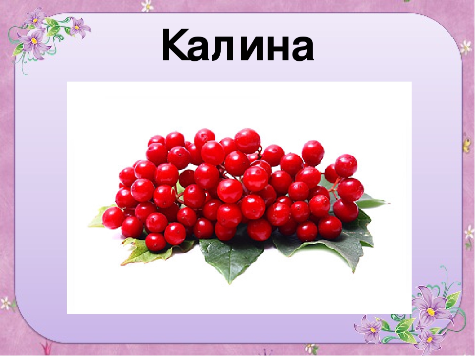 Презентация для старшей группы "Ягоды"