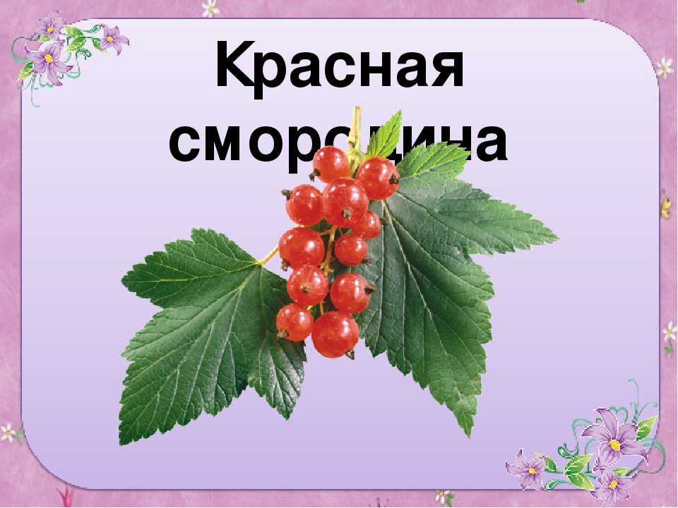 Презентация для старшей группы "Ягоды"