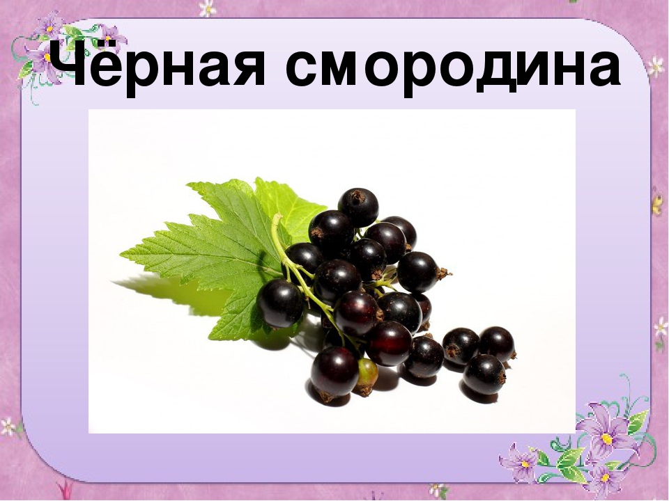 Презентация для старшей группы "Ягоды"
