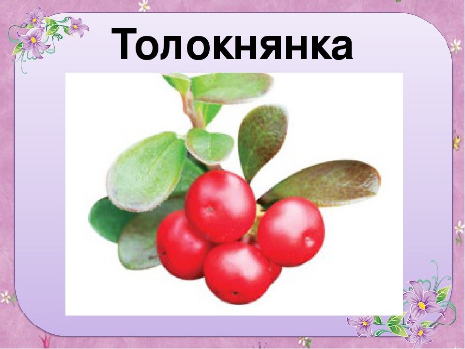Презентация для старшей группы "Ягоды"