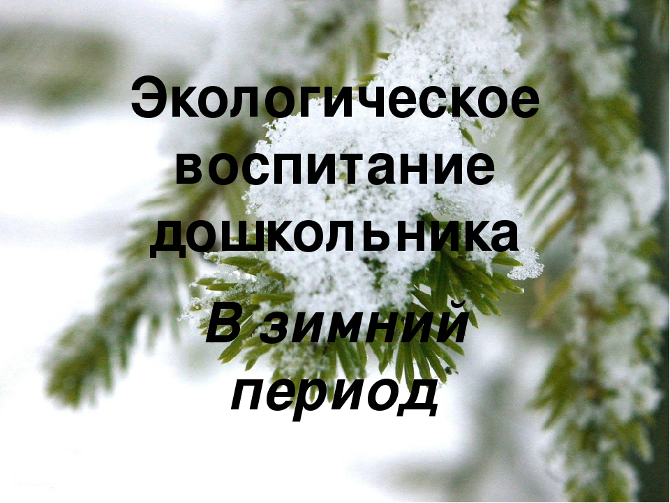 Презентация на тему "Экологическое воспитание дошкольников в зимний период"