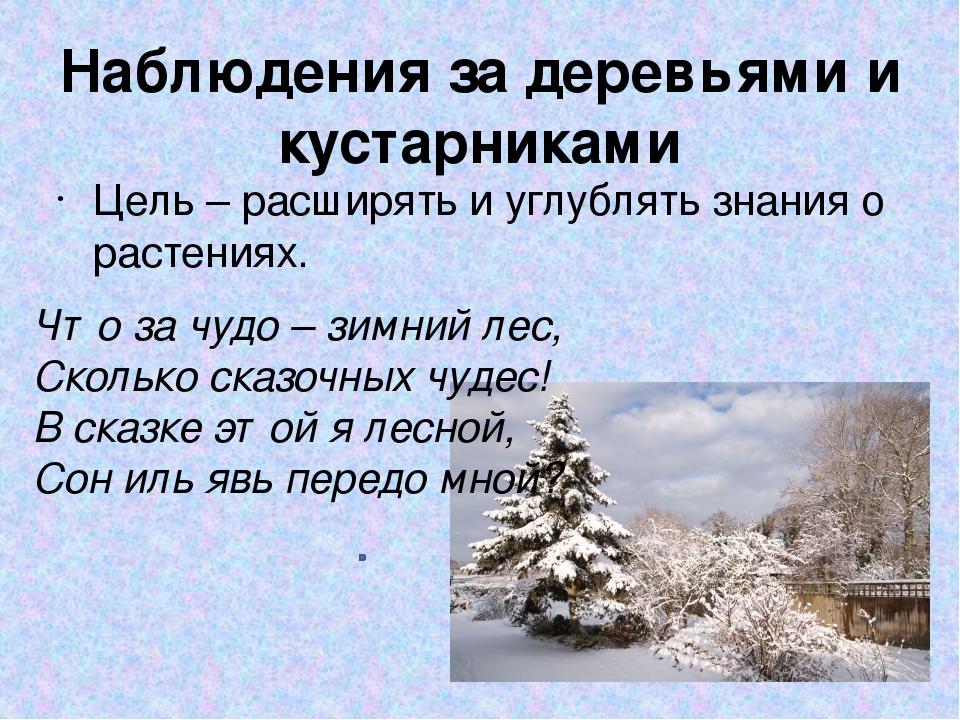 Презентация на тему "Экологическое воспитание дошкольников в зимний период"