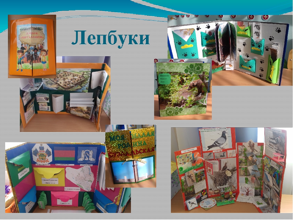 Презентация к программе "Моя станица Суздальская"