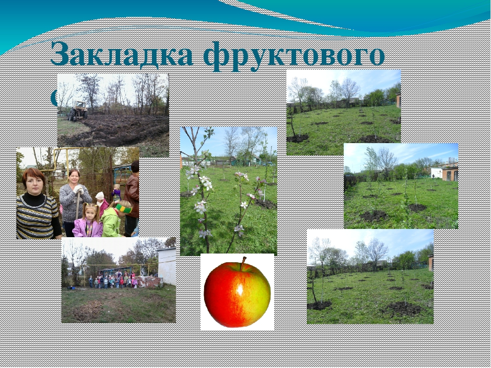 Презентация к программе "Моя станица Суздальская"
