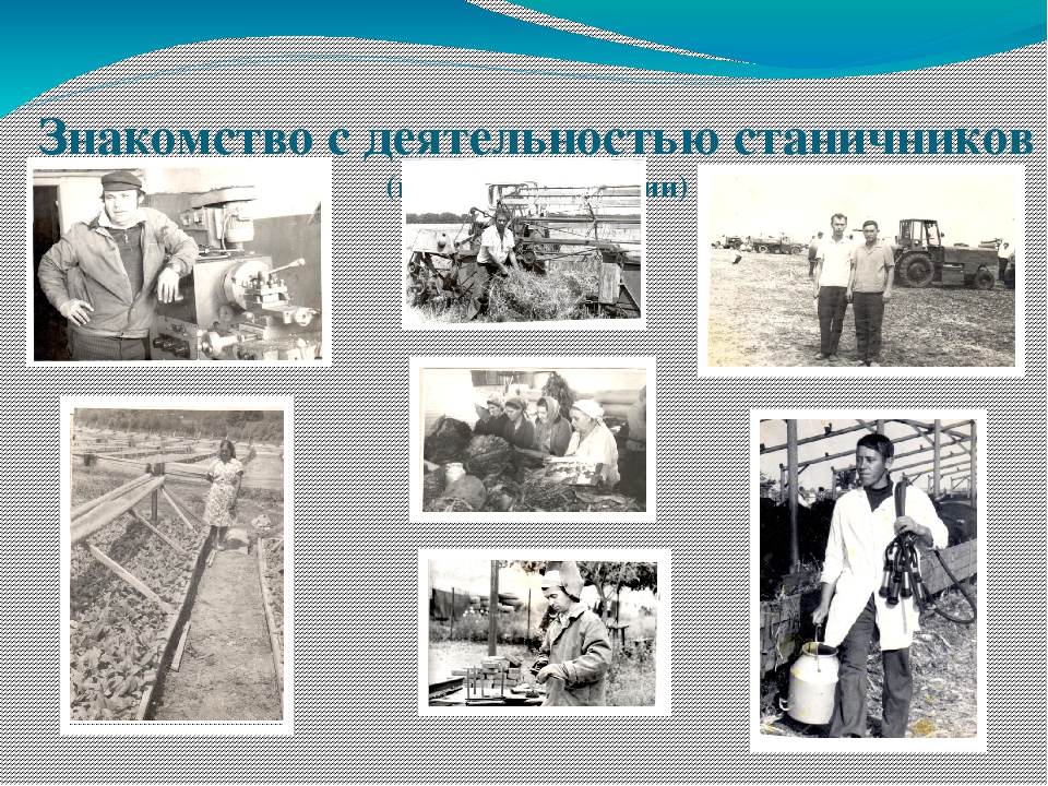 Презентация к программе "Моя станица Суздальская"