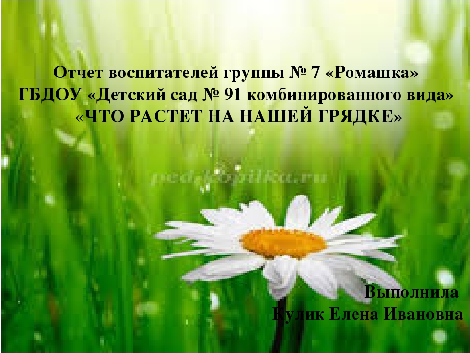"что растет на нашей грядке"