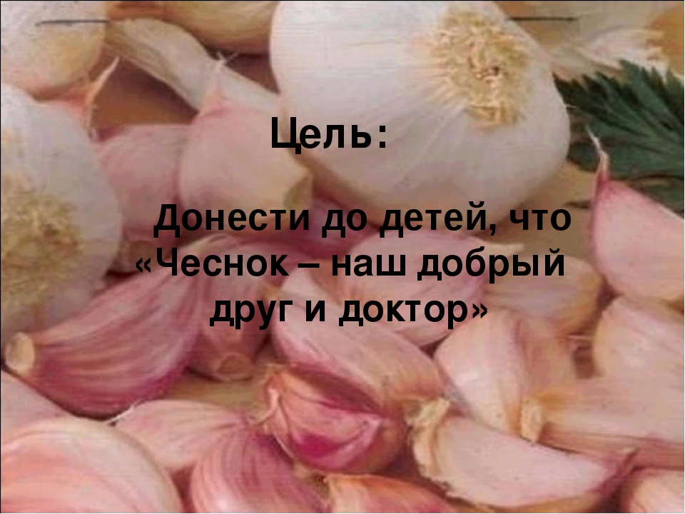 Презентация "Чеснок - наш добрый друг и доктор!"