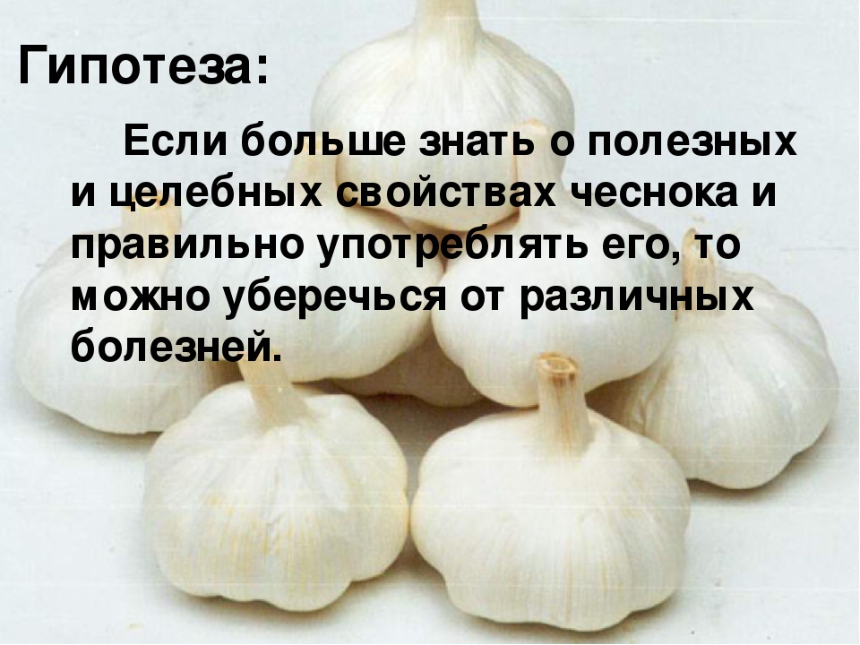 Презентация "Чеснок - наш добрый друг и доктор!"