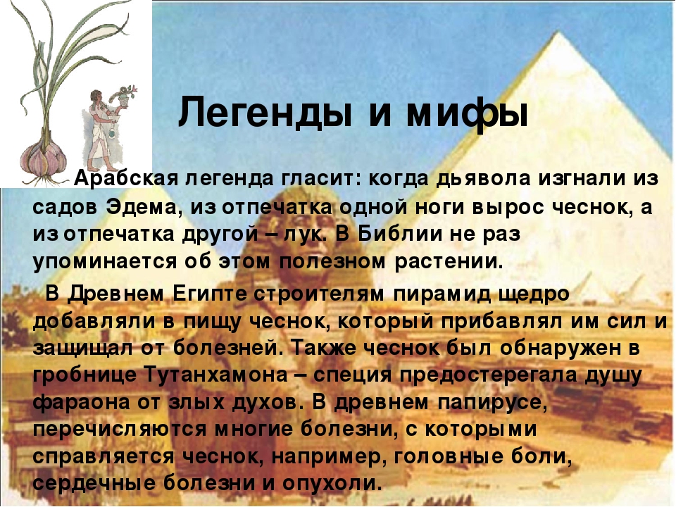 Презентация "Чеснок - наш добрый друг и доктор!"