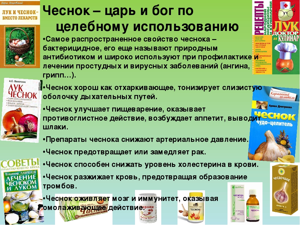 Презентация "Чеснок - наш добрый друг и доктор!"