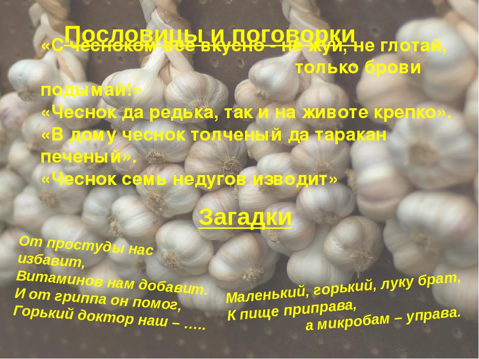 Презентация "Чеснок - наш добрый друг и доктор!"