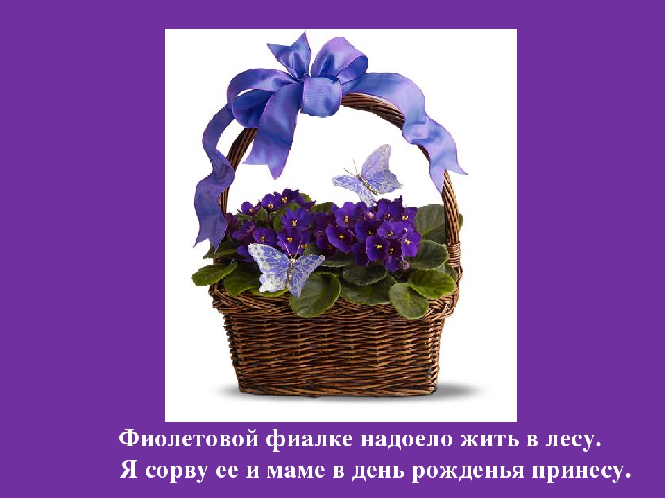 Презентация Цветная Радуга правил""