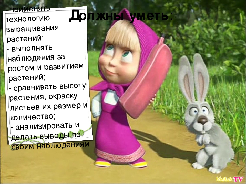 Презентация огород на подоконнике
