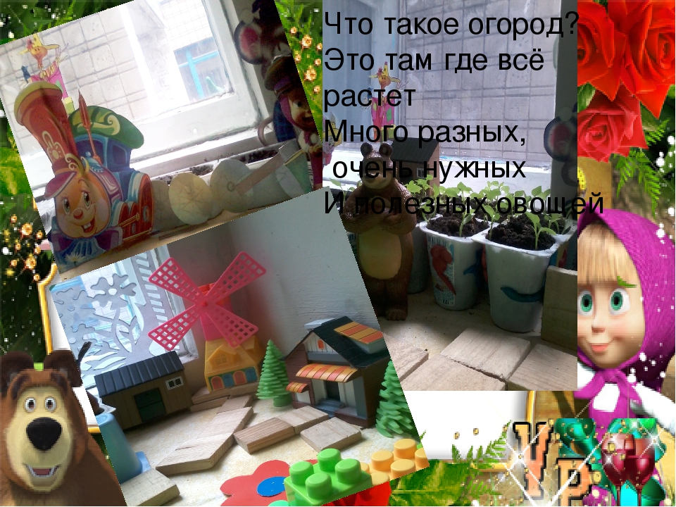Презентация огород на подоконнике