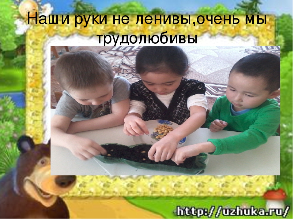Презентация огород на подоконнике