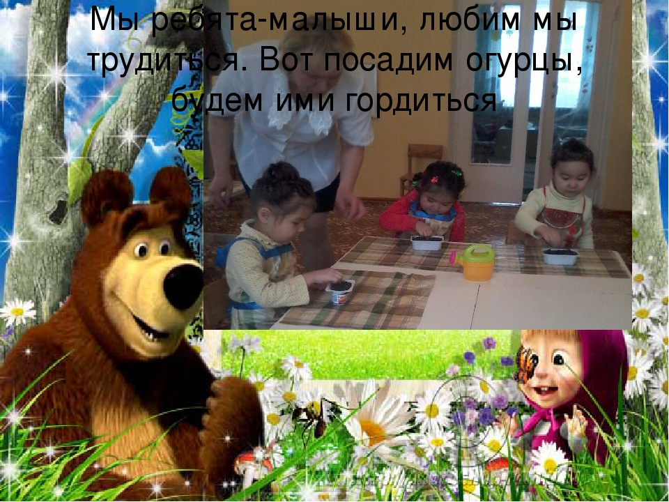 Презентация огород на подоконнике