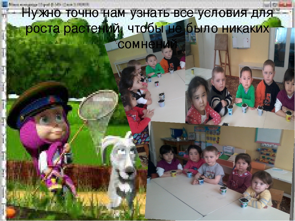 Презентация огород на подоконнике