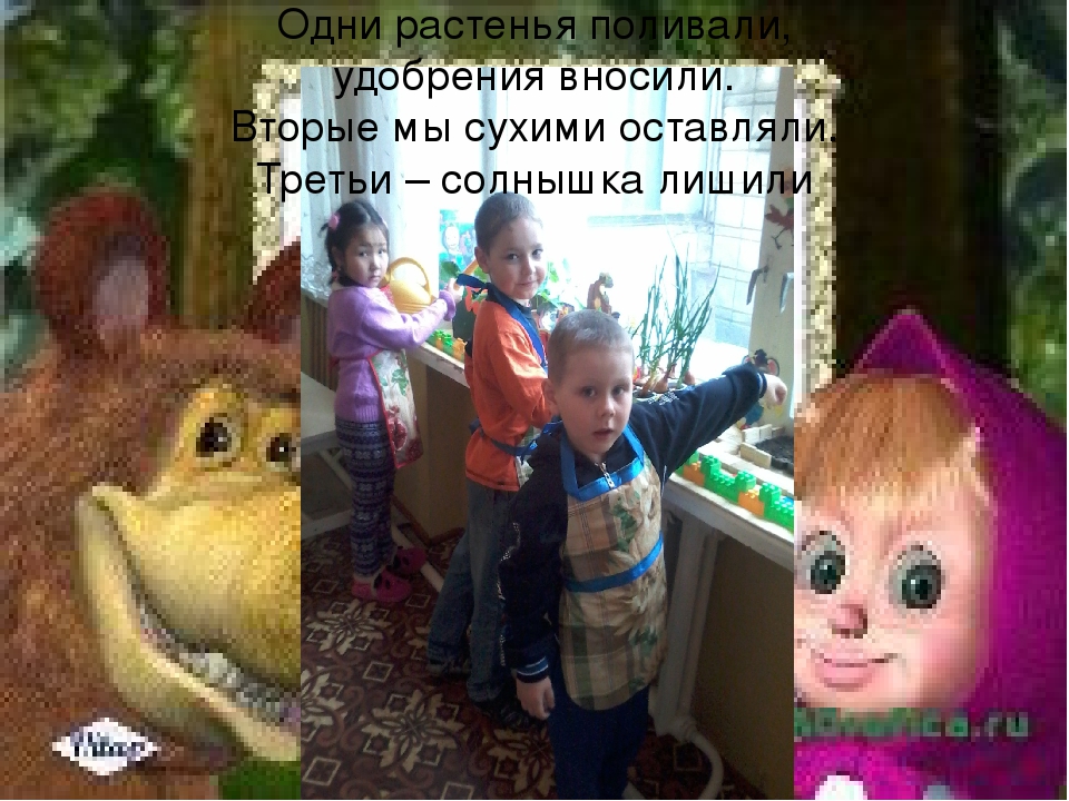 Презентация огород на подоконнике