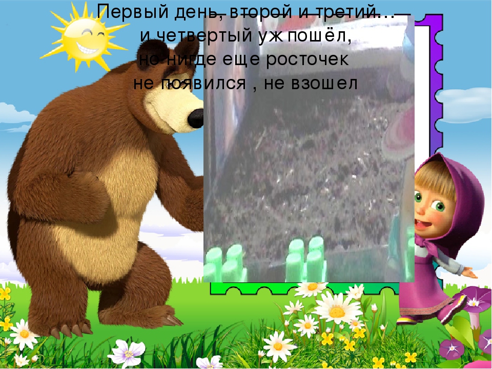 Презентация огород на подоконнике