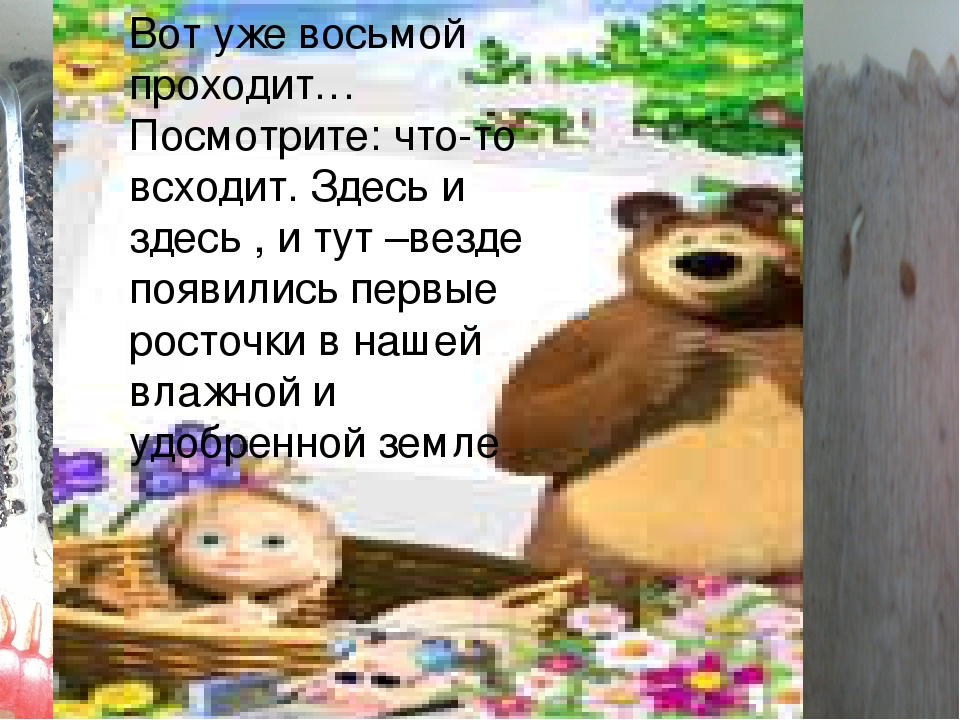 Презентация огород на подоконнике