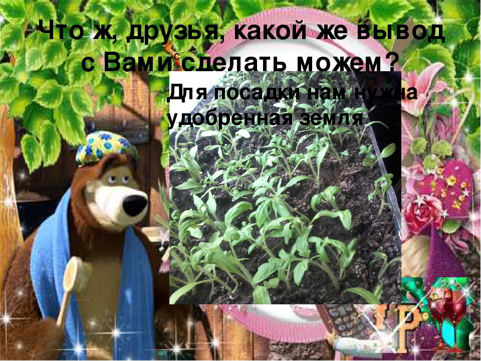 Презентация огород на подоконнике