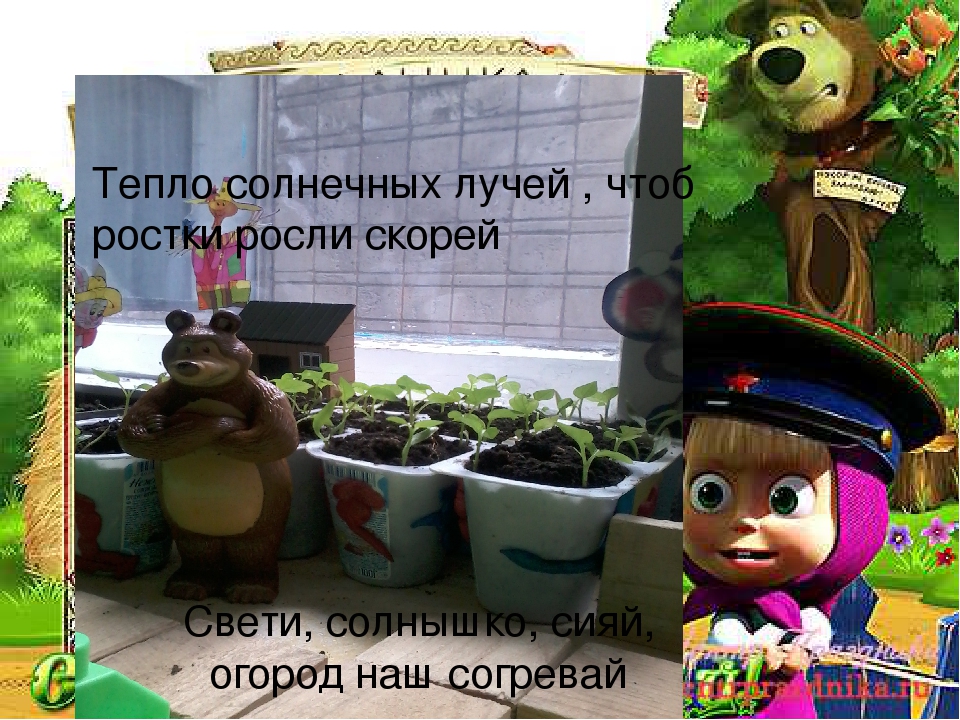 Презентация огород на подоконнике