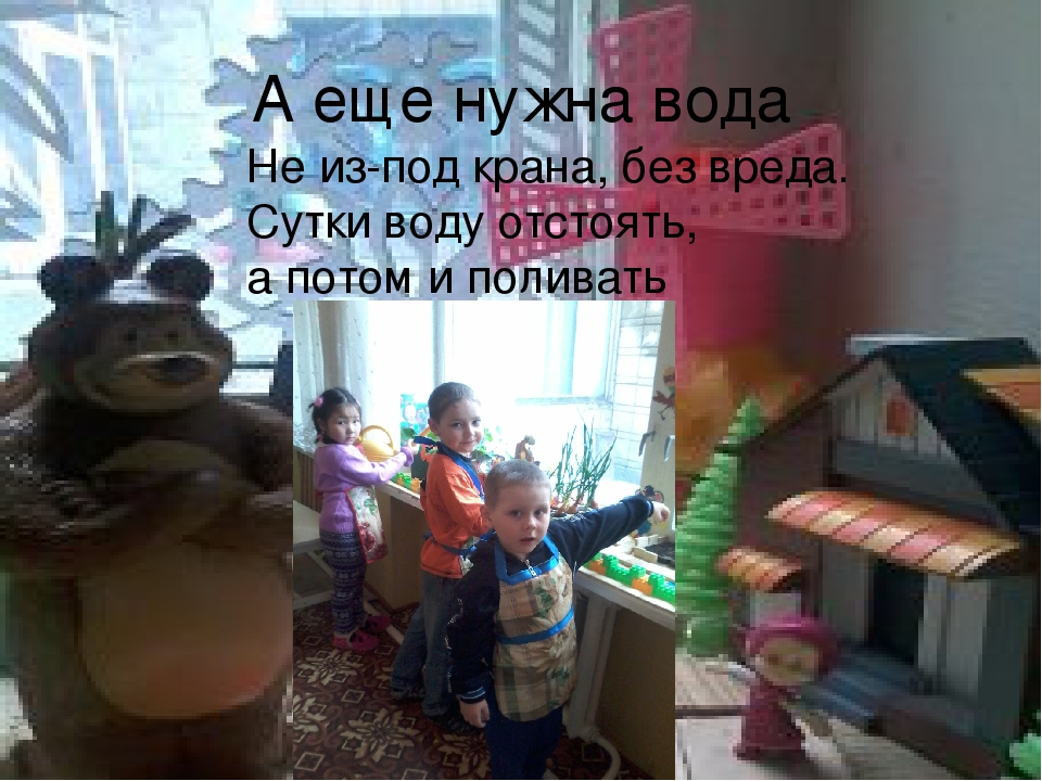 Презентация огород на подоконнике