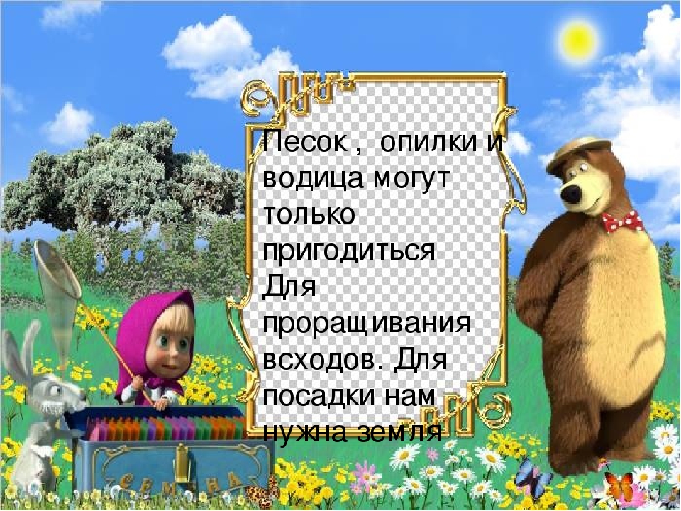 Презентация огород на подоконнике