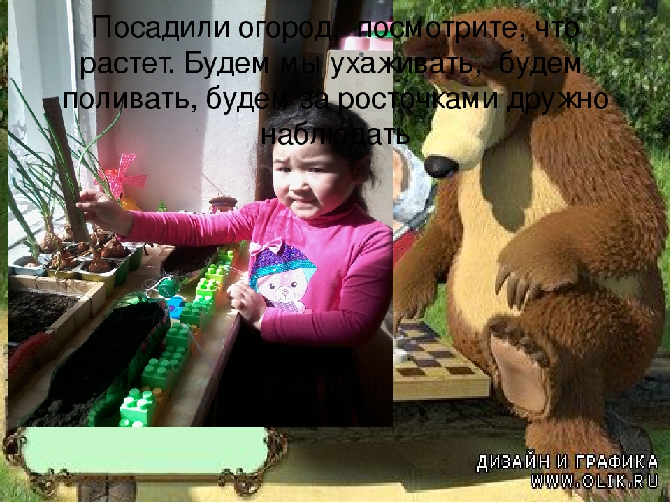 Презентация огород на подоконнике